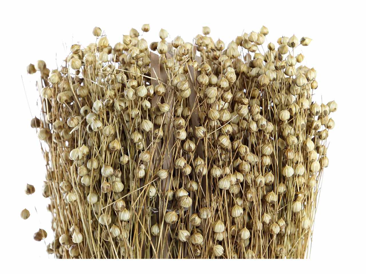 Bouquet fiore secco 12x12x31 naturale
