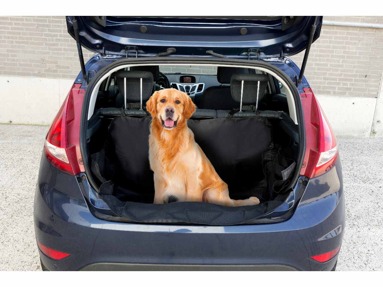Pet transport telo per auto per animali domestici in polietilene 155x104x33cm