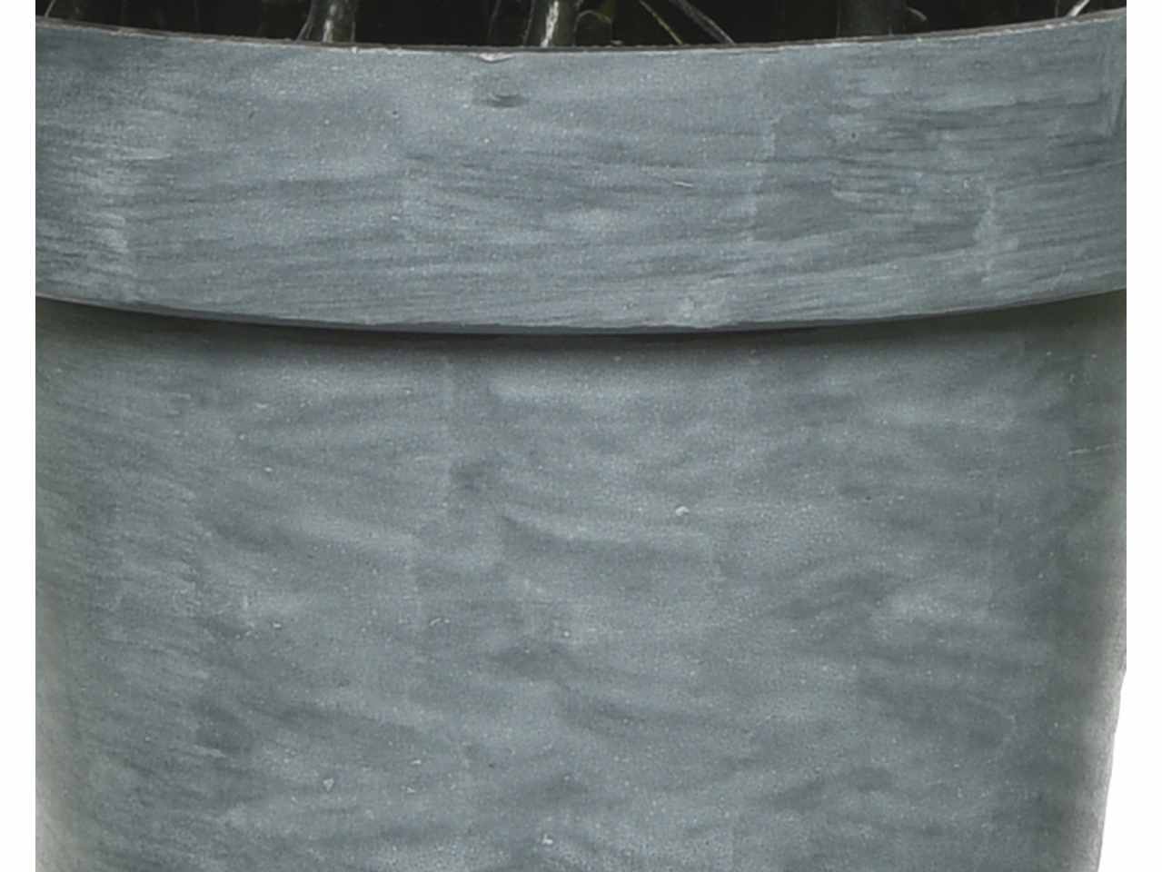 Pianta h.13cm con vaso 804833