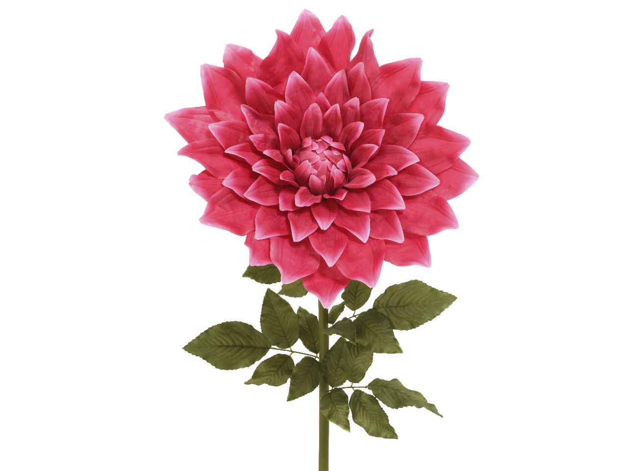 Dalia h.145cm fucsia 801439