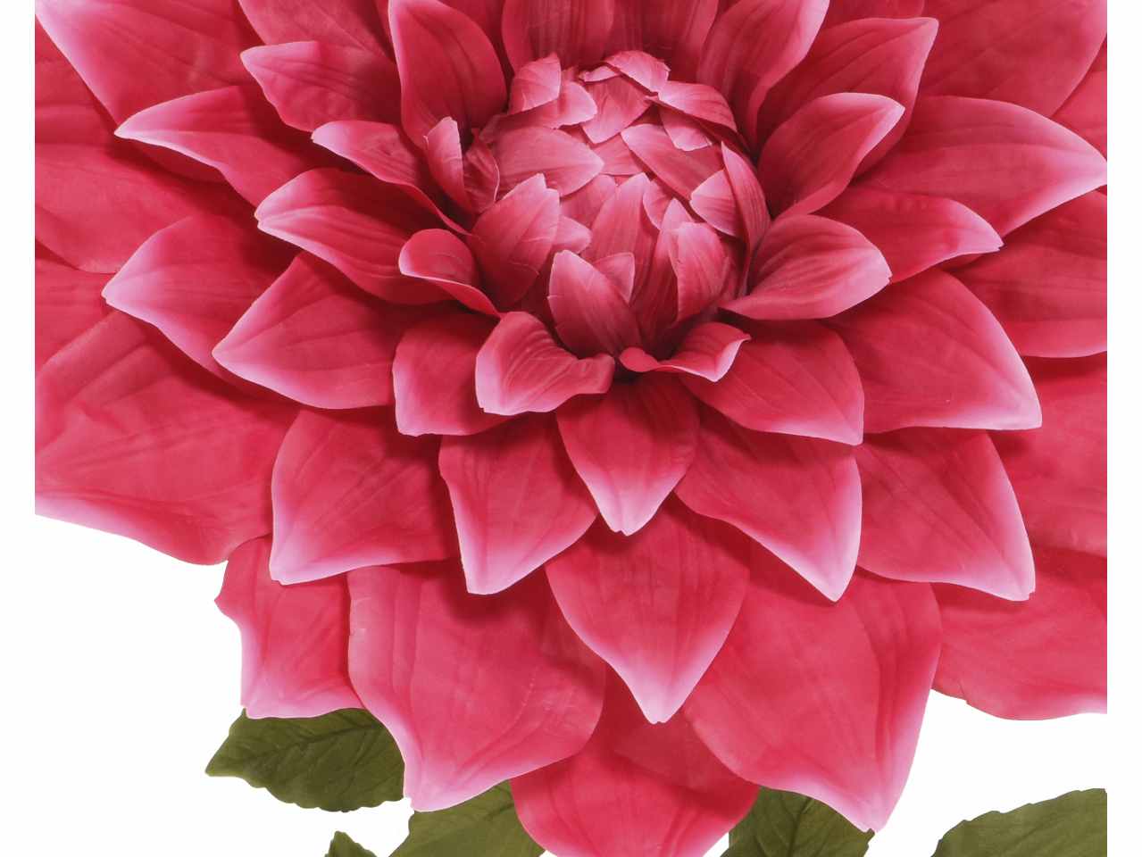 Dalia h.145cm fucsia 801439