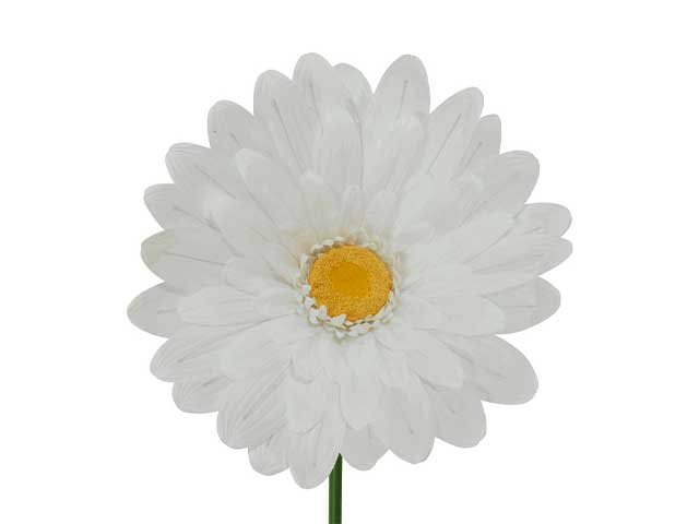 Gerbera h.150cm bianca 801441