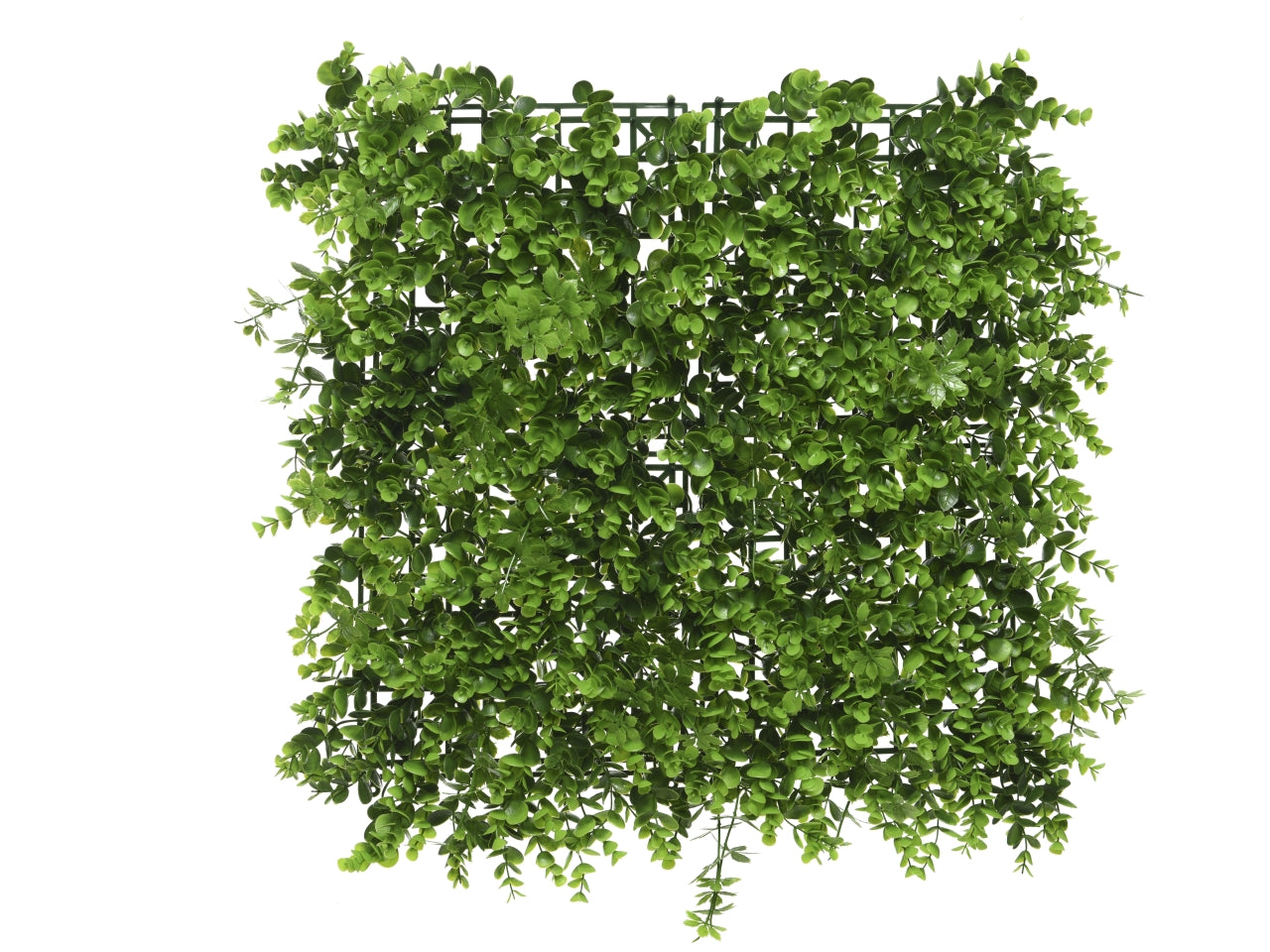 Decorazione da muro a caduta eucalipto, verticale in plastica verde - lunghezza 100 cm, larghezza 100 cm, altezza 11 cm - resistente ai raggi uv per 5 anni, per uso esterno - Kaemingk