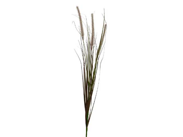 Pampas natur.h.100cm rosa 801245