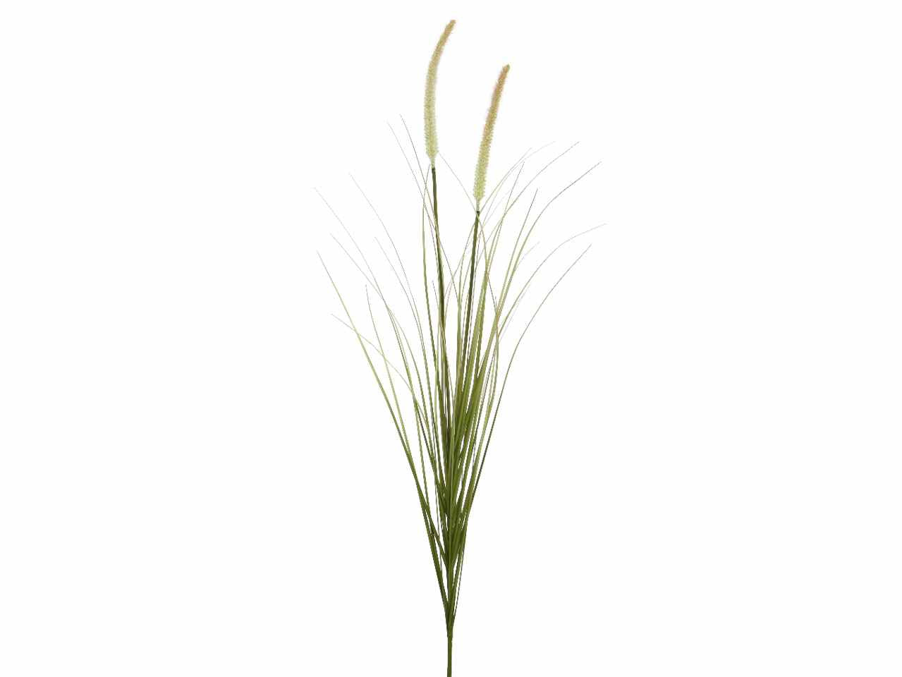 Pampas h.100cm sfumato rosa 804045