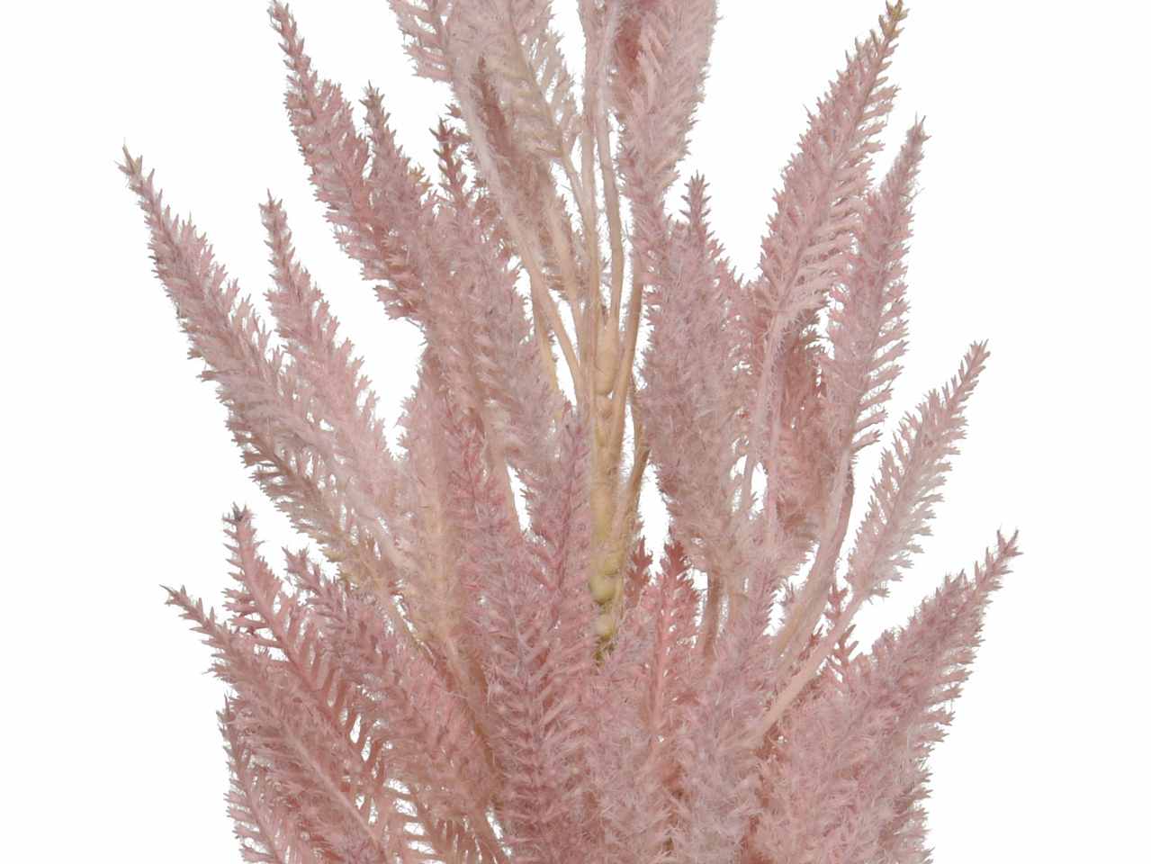 Grano spruzzata rosa h.95cm 804283