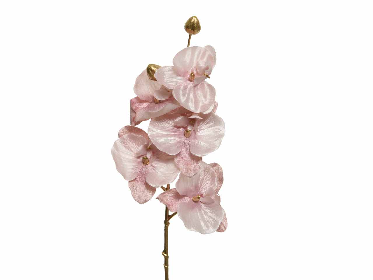 Orchidea 15x6x71cm rossa cipria
