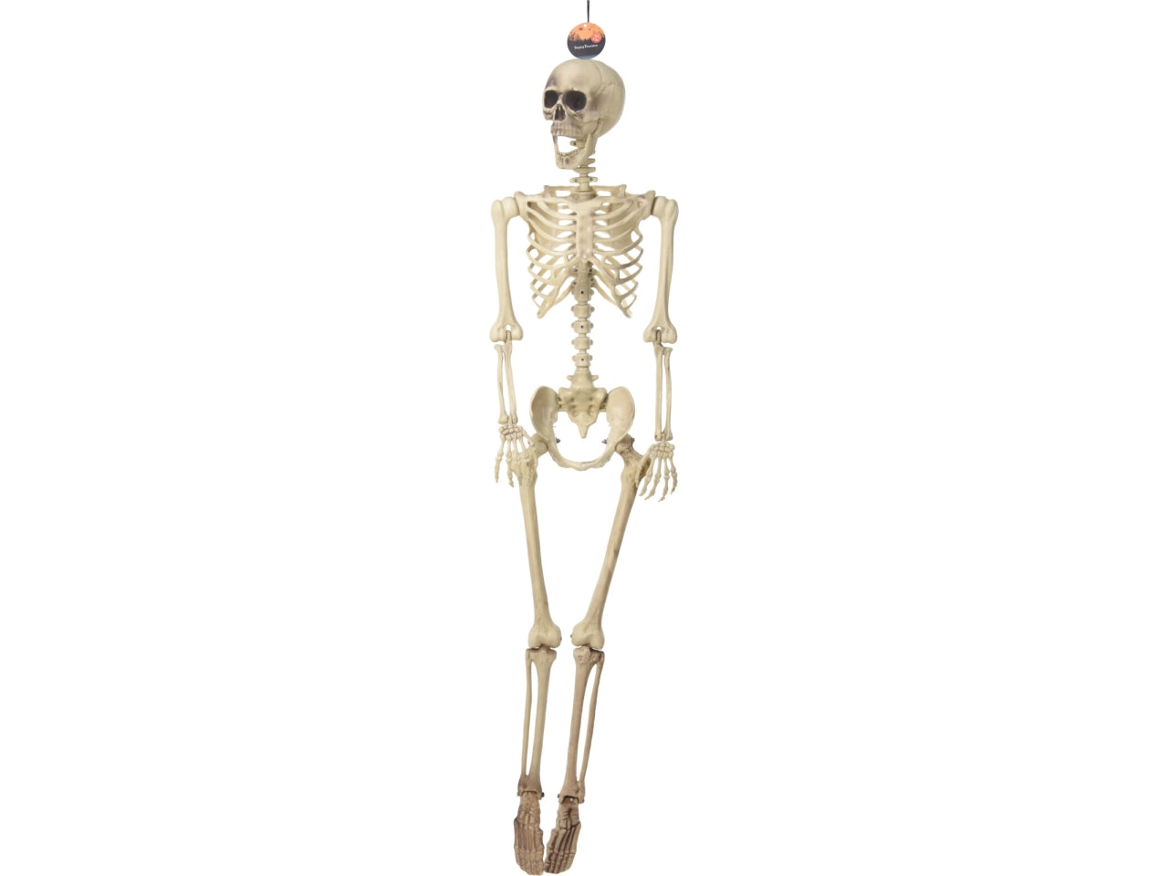 Scheletro decorativo per halloween 165cm