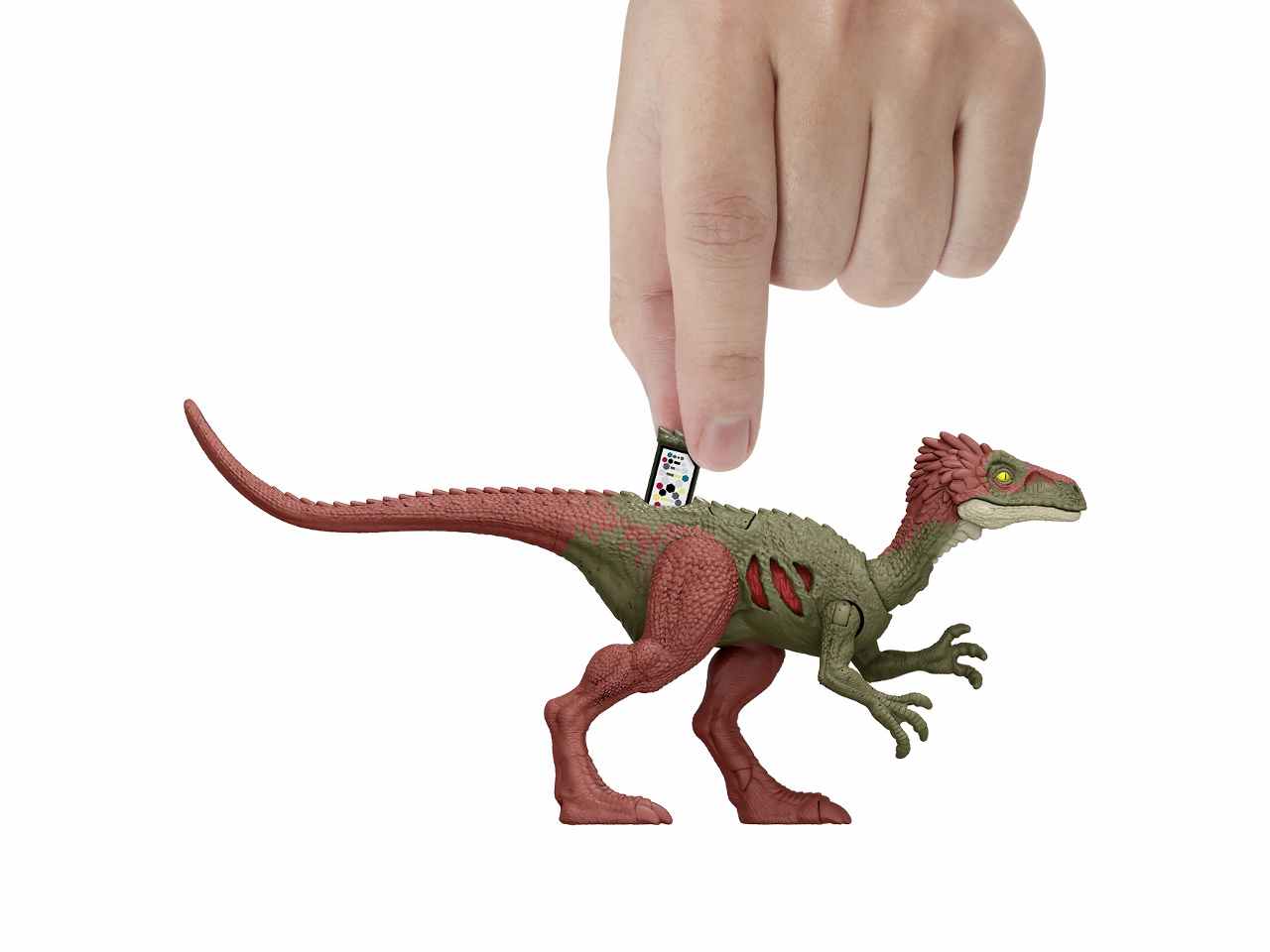 Jurassic world 3 colpo selvaggio gwn13$