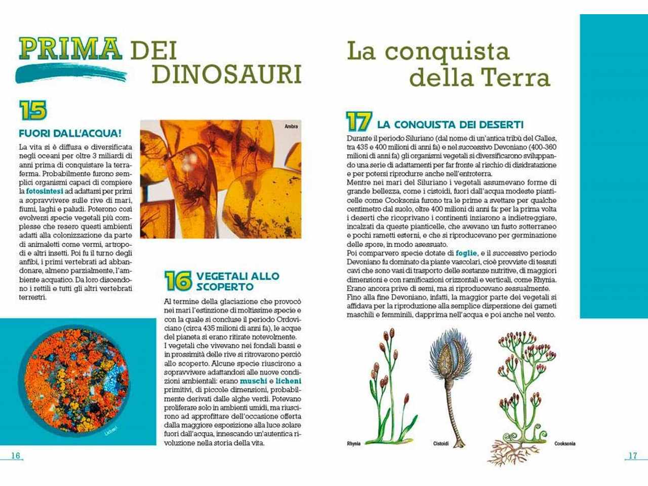 Libro dinosauri