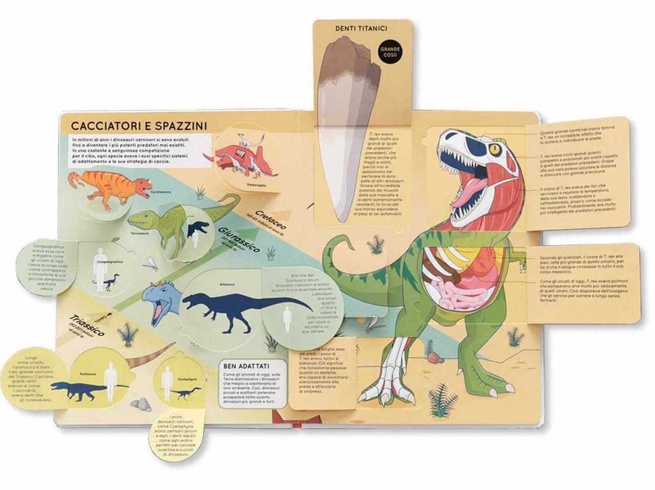 Libro alza e scopri dinosauri