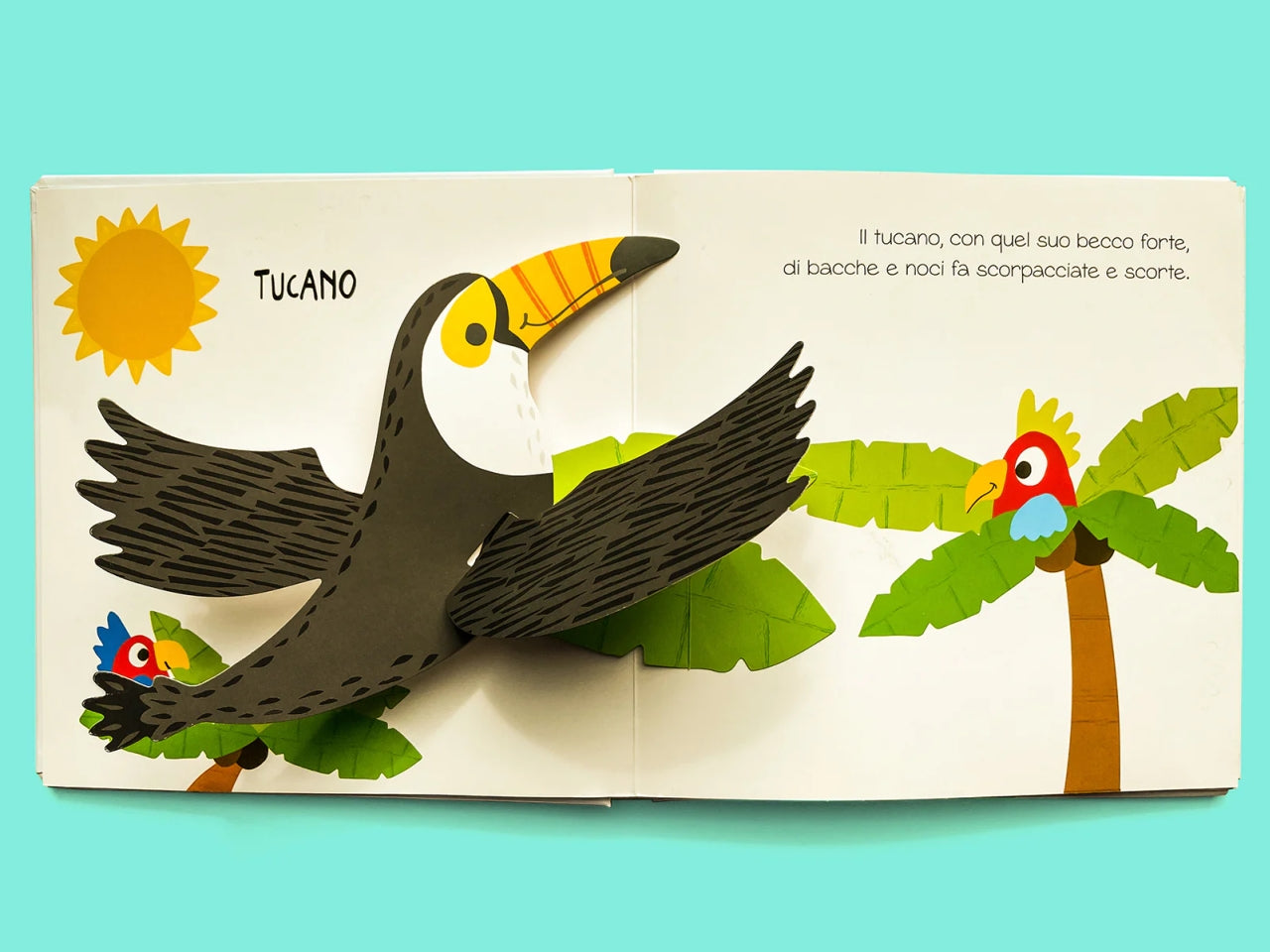 Libro dami editore primi pop-up per imparare animali