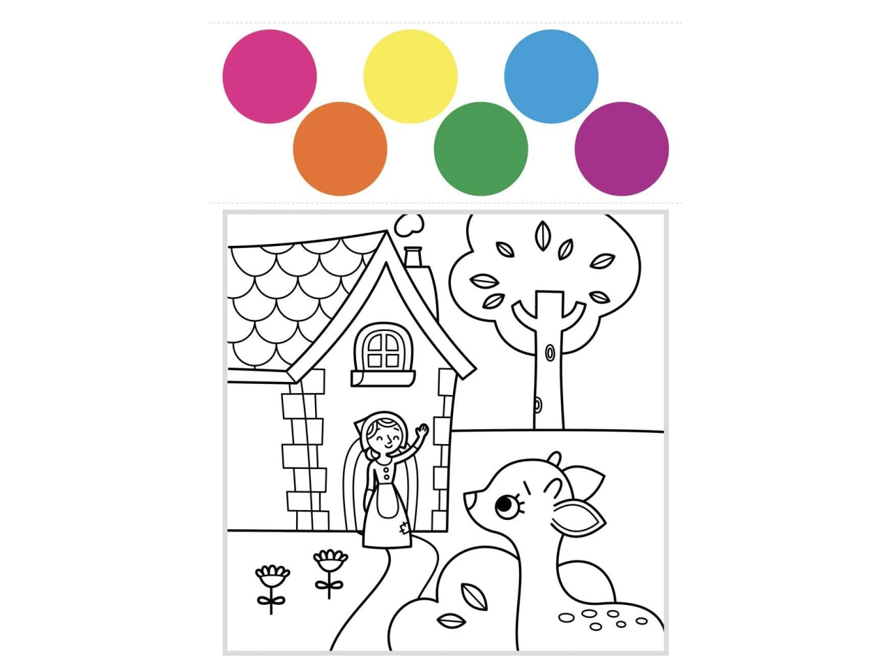Libro dami editore colori magici tutto color