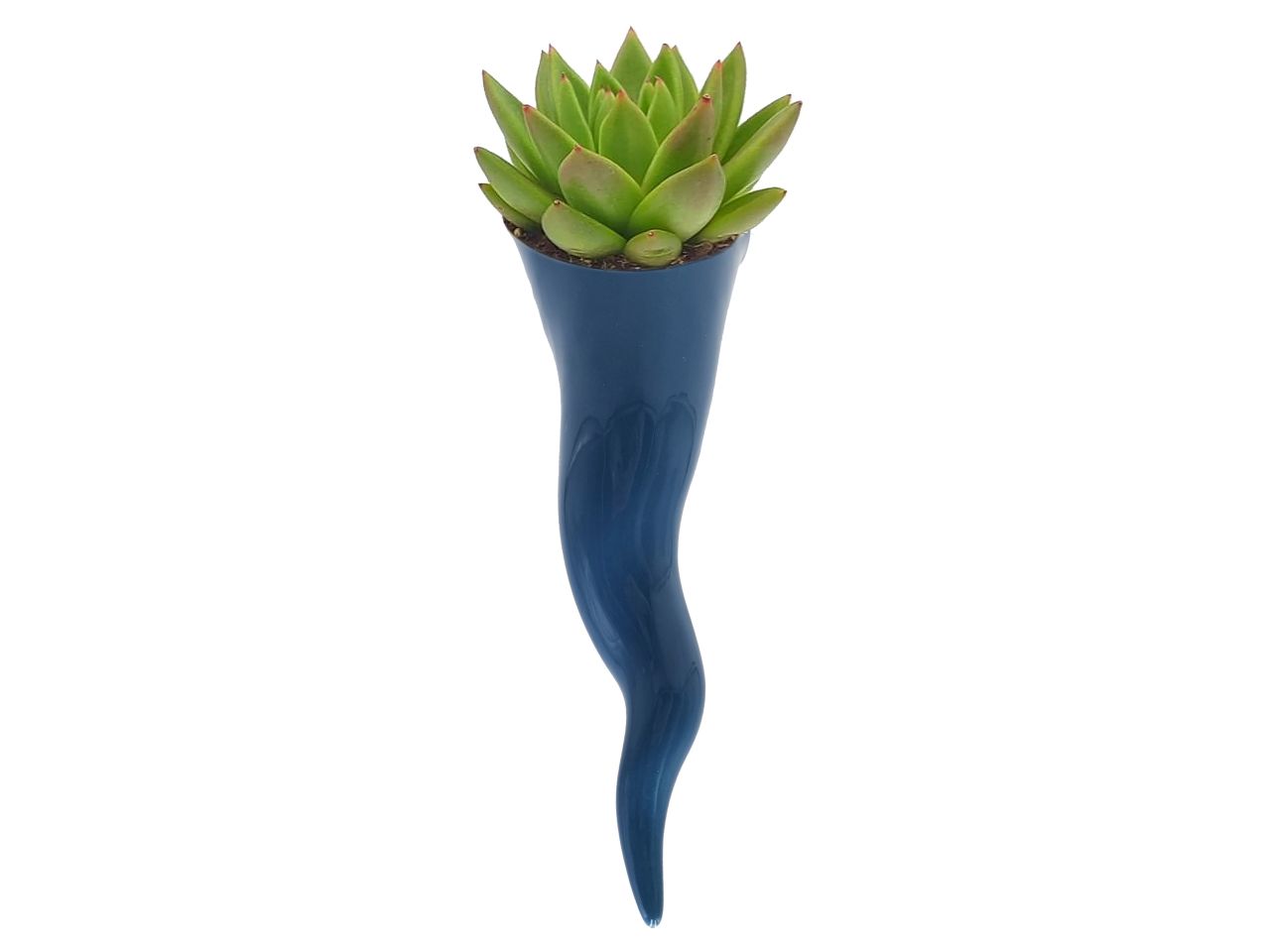 Peperoncino vaso misura h.21cm colore jeans