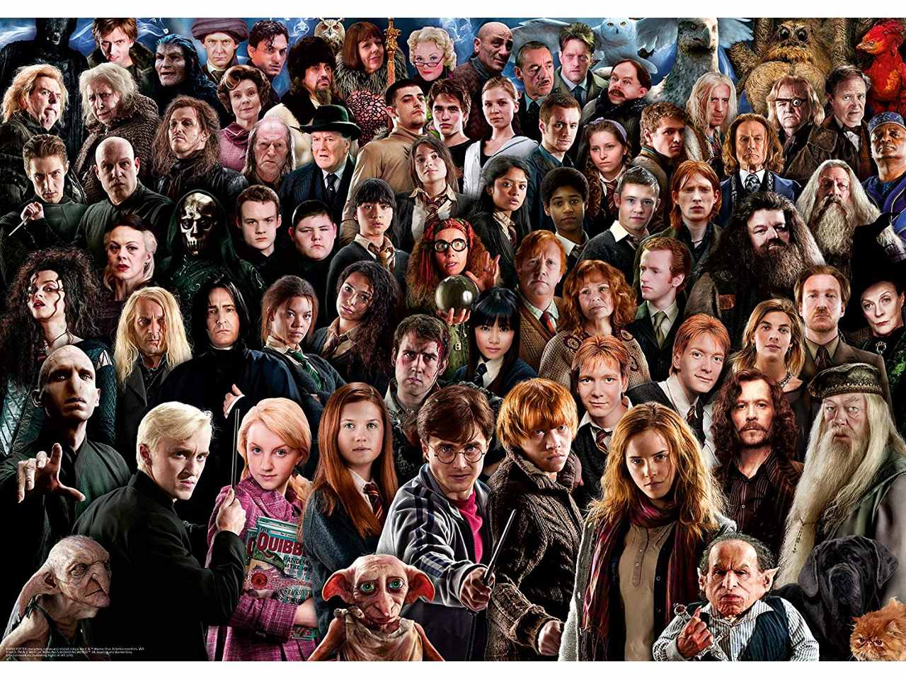 puzzle 1000pz challenge harry 14988