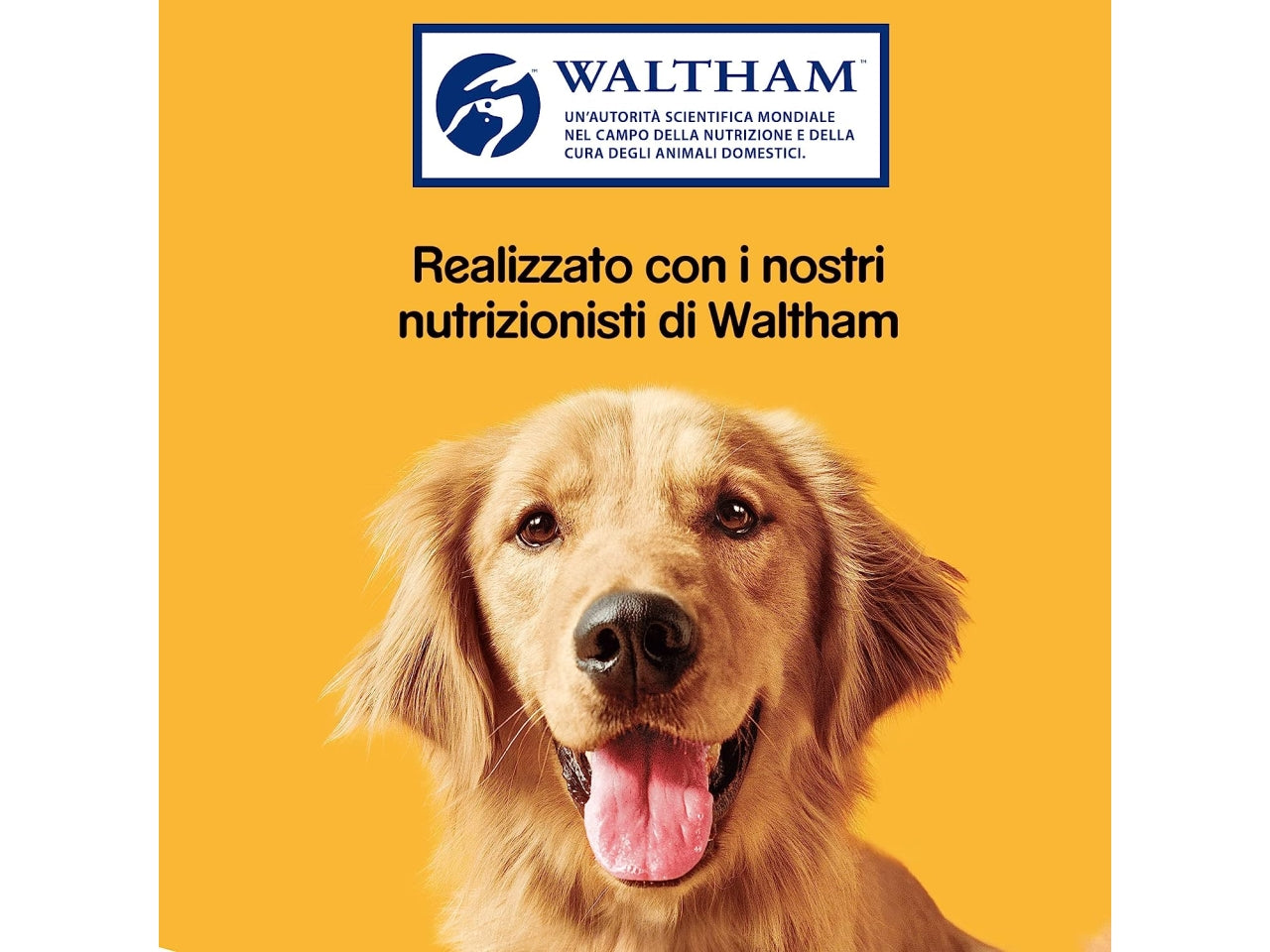 Pedigree biscotti markies 500 grammi