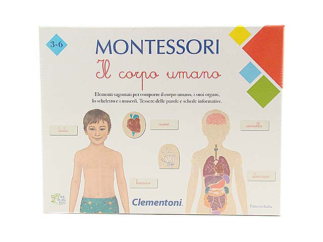 montessori corpo umano 16103