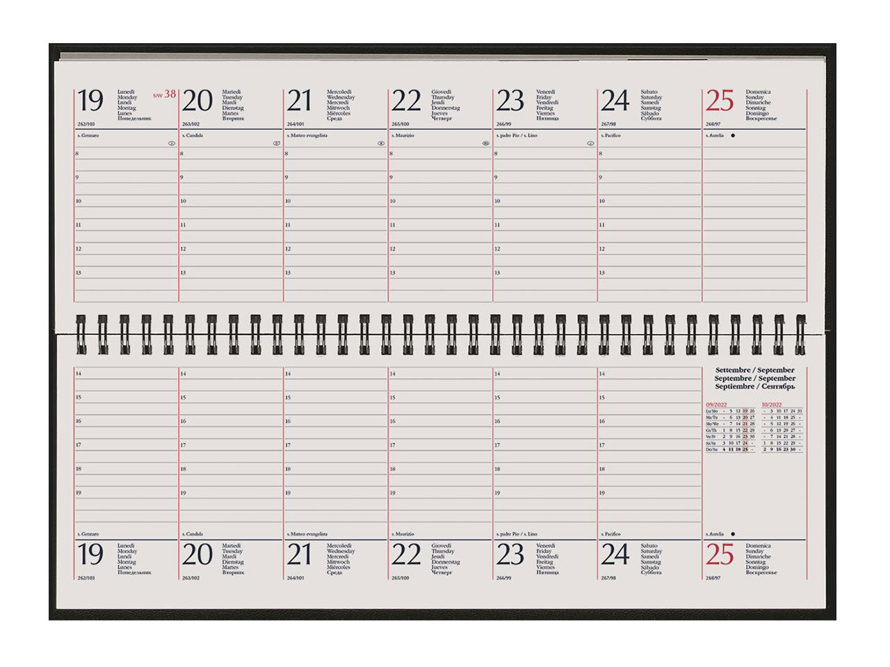 AGENDA SETTIMANALE GOMMATA VERDE 10,5X29,8CM