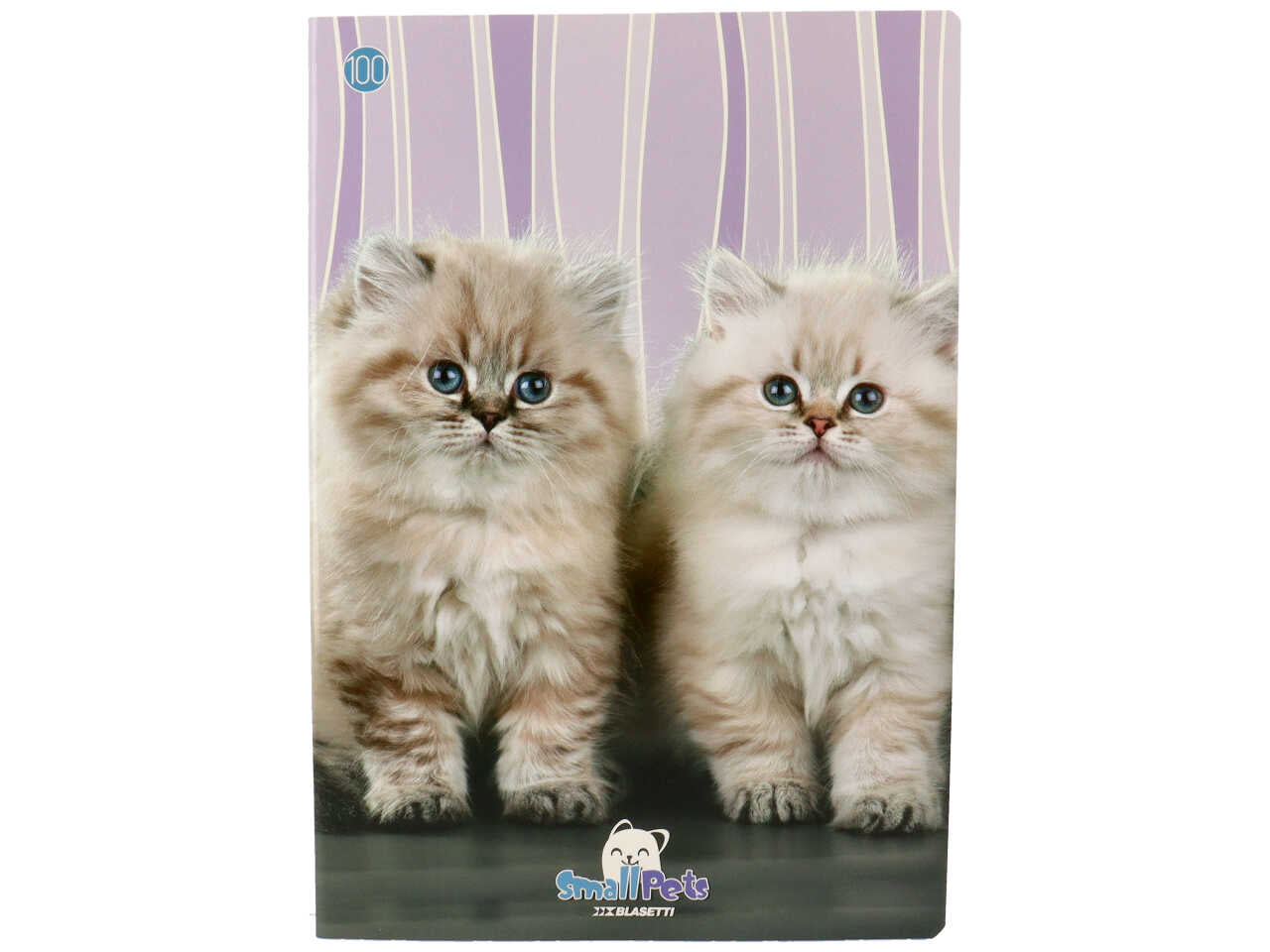 Quaderno maxi 100gr small pet rigo q ff18+1