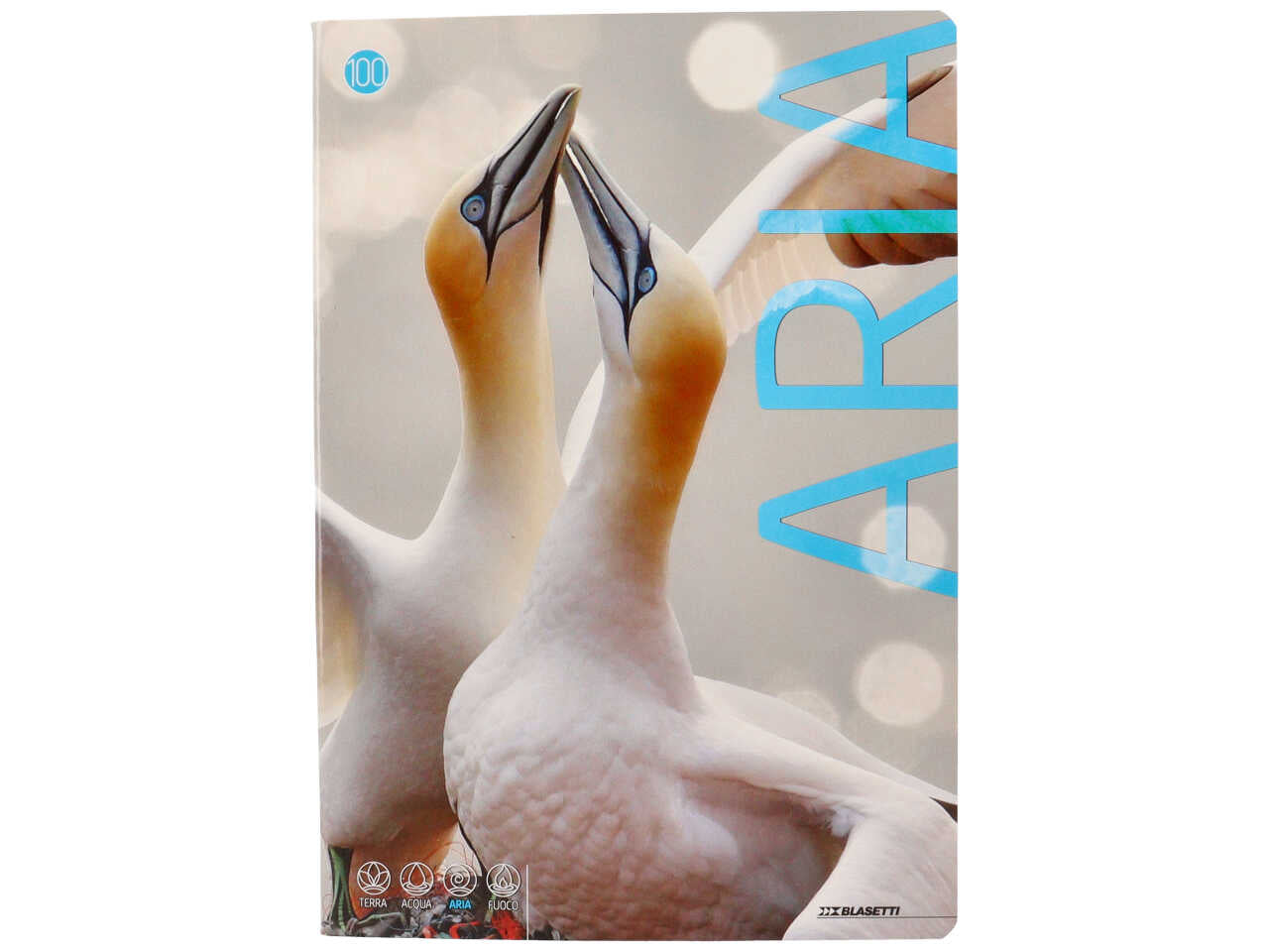 Quaderno maxi animali 100gr f18+1 b
