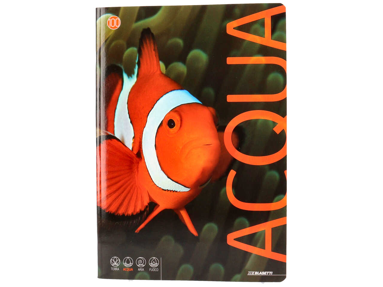 Quaderno maxi animali 100gr f18+1 b