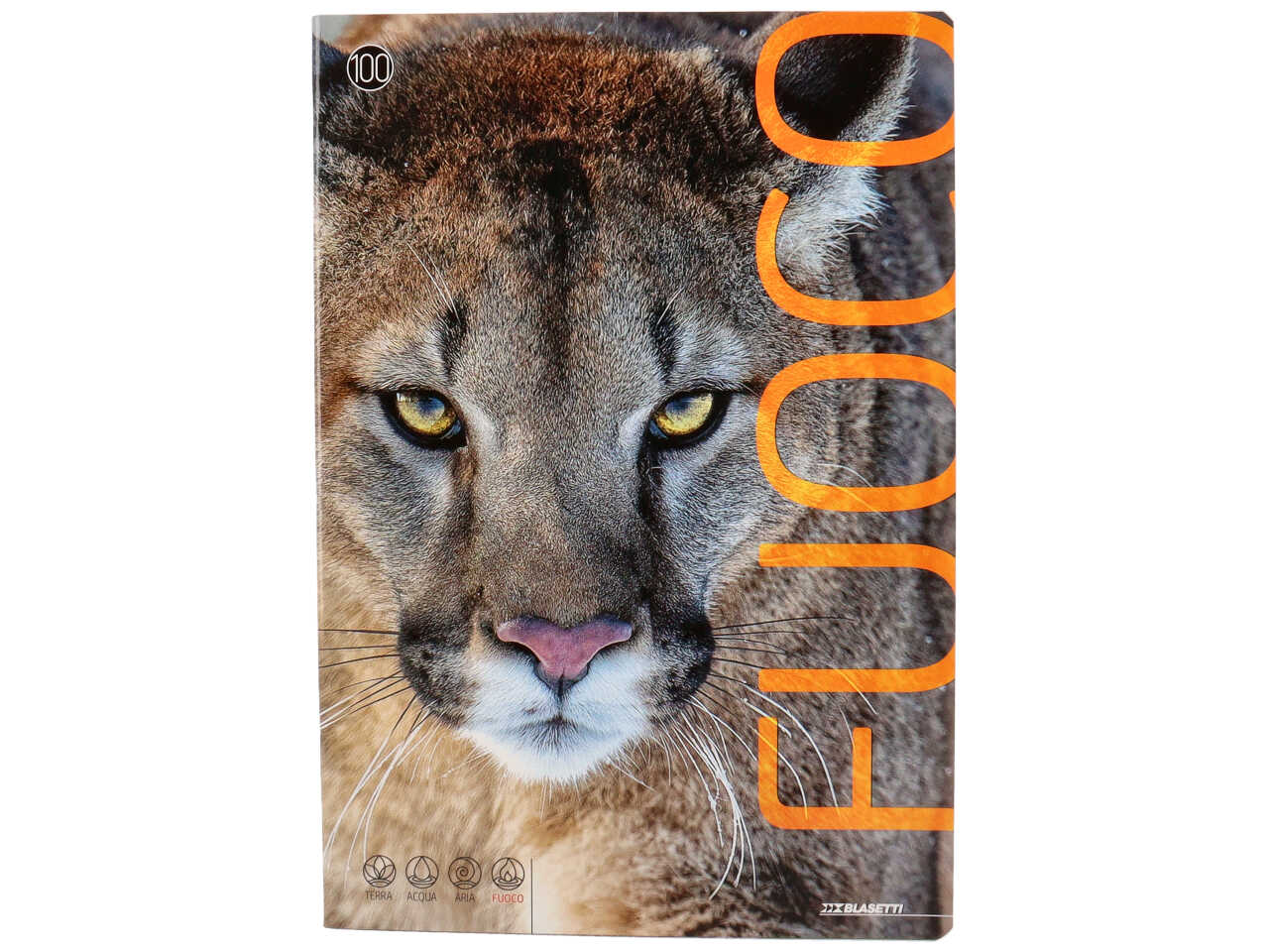 Quaderno maxi animali 100gr f18+1 10m