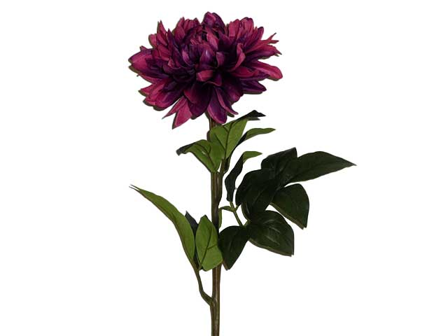 dalia burgundy 8028