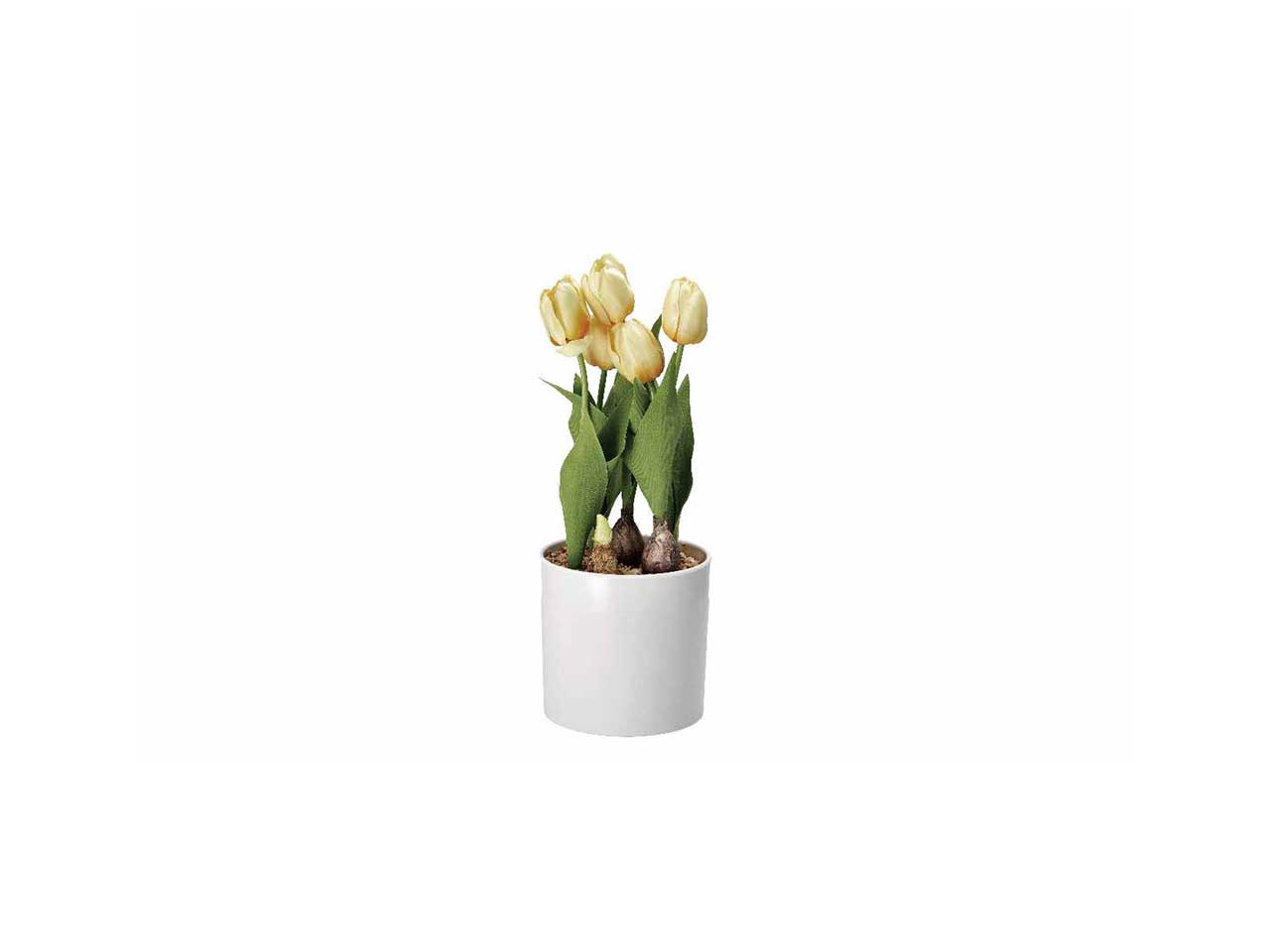 Vaso c/tulipani d.14xh33cm 74877
