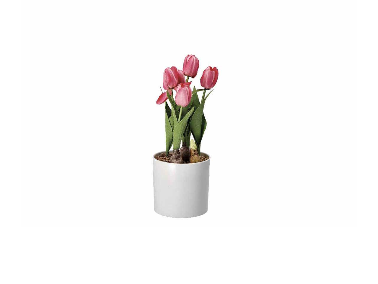 Vaso c/tulipani d.14xh33cm 74877