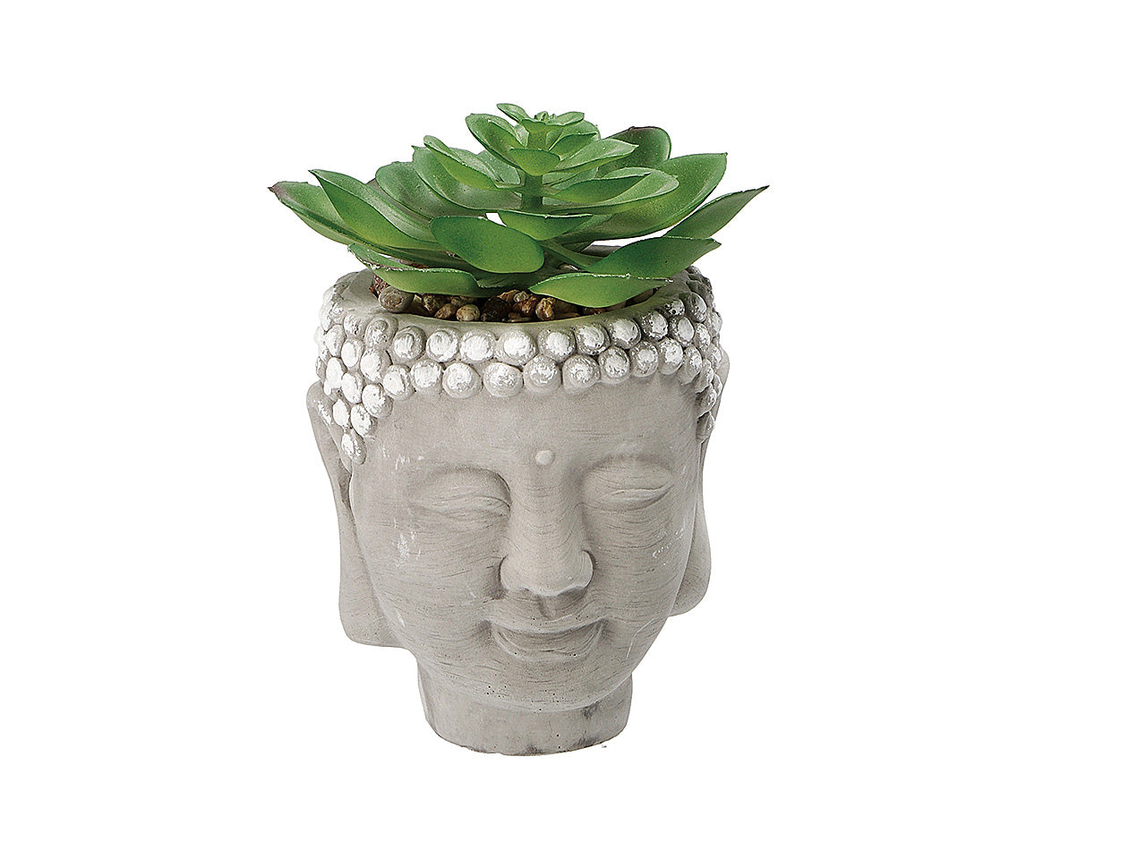 Vaso con pianta grassa d9xh13cm 75412