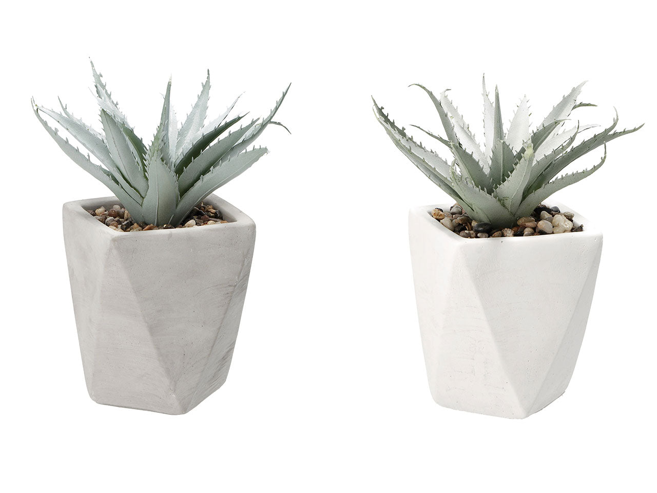 Vaso con pianta grassa d9xh20cm 75413