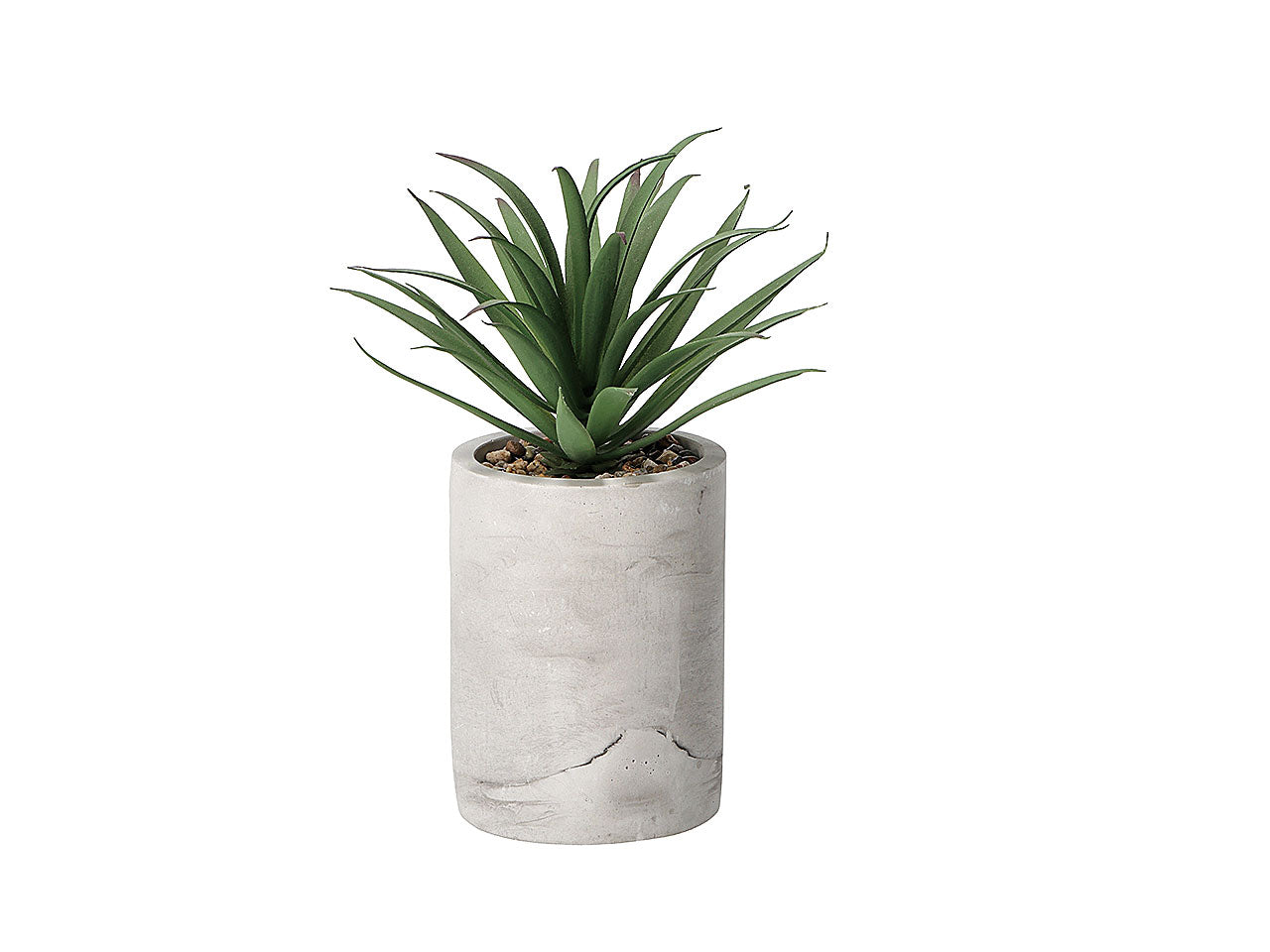 Vaso con pianta grassa d9xh22cm 75417