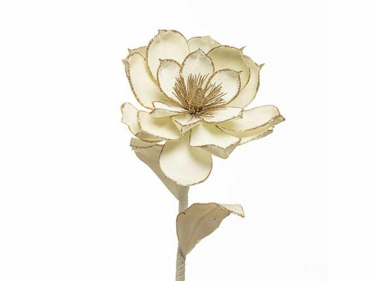 Magnolia velluto cm80beige 1nhz1886