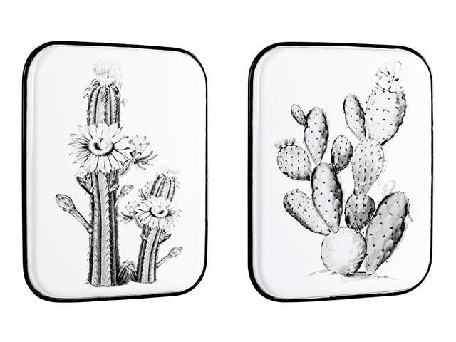 placca metallo 43x52cm 0181709