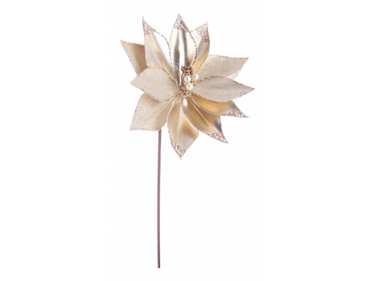 Poinsettia caroline champagne 29xh.50cm