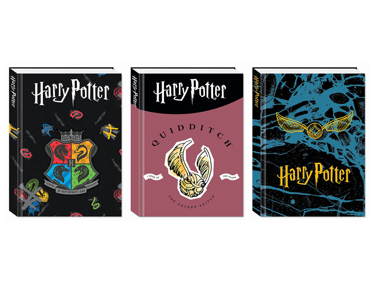 Harry potter diario agenda 10 mesi