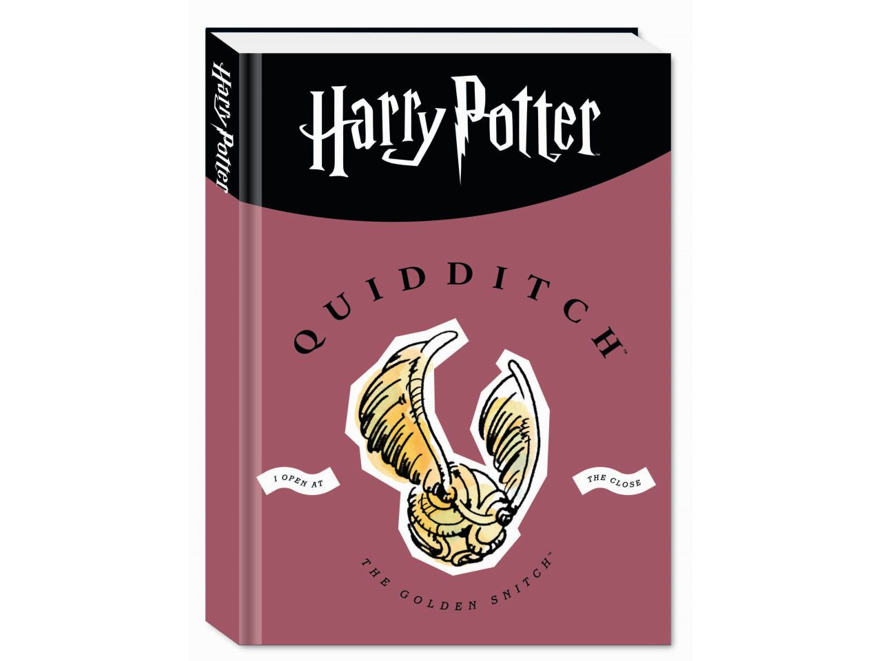 Harry potter diario agenda 10 mesi