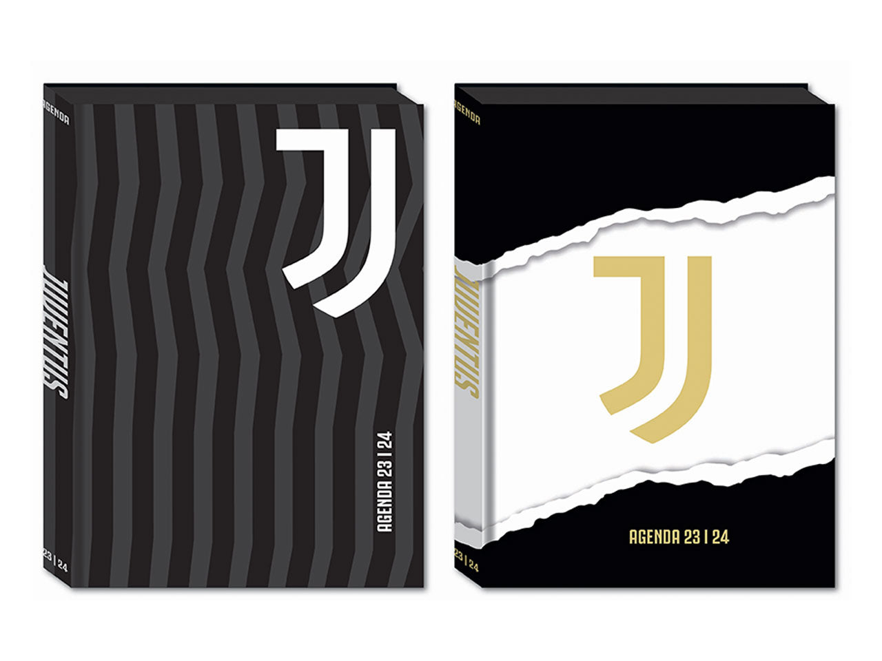 Juventus diario standard 16 mesi