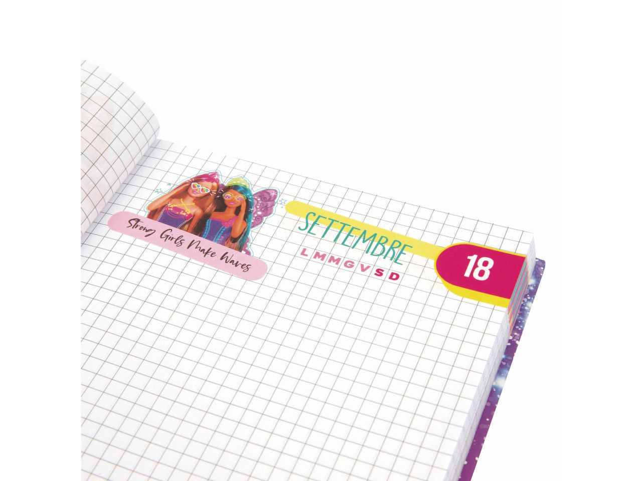 Barbie diario formato standard