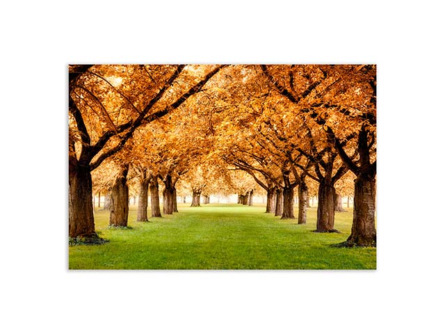 quadro 100x0,40x70cm 49862
