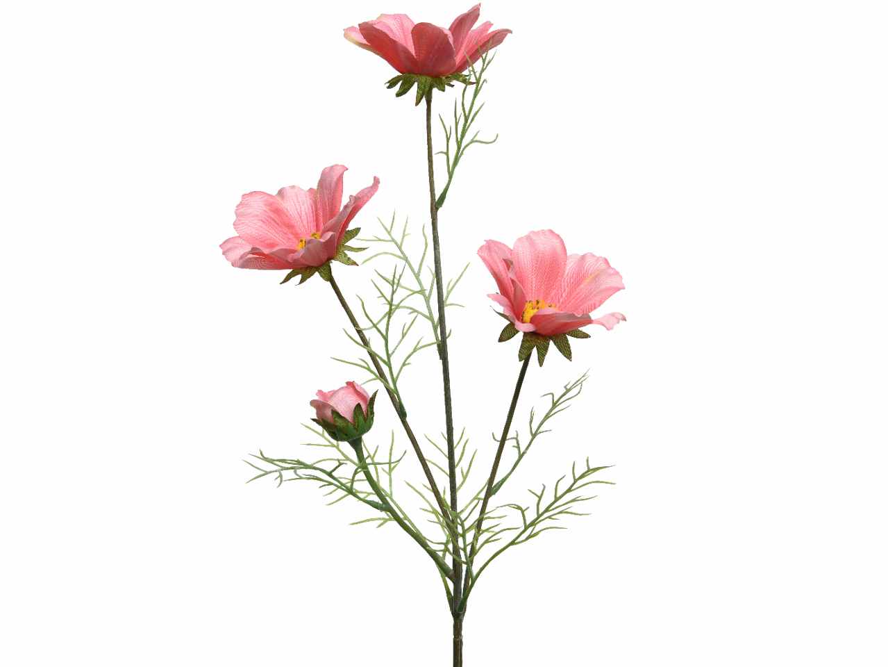 Coreopside rosa h.64cm 800554