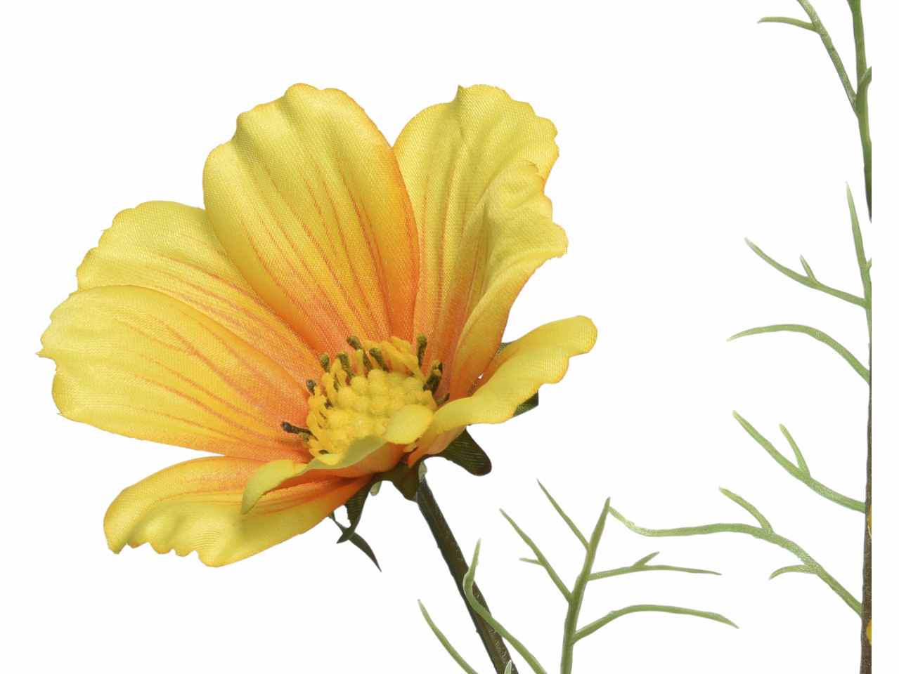 Coreopside giallo h.64cm 800556