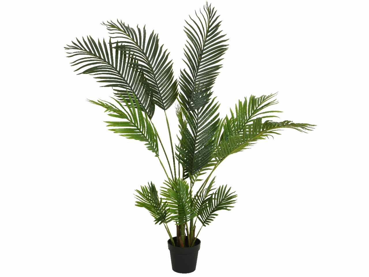 Pianta palma h.150cm 804215