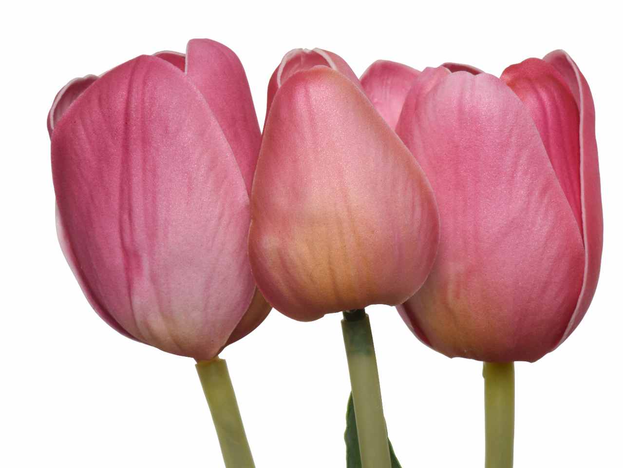 Mazzo tulipano h.49cm 800233