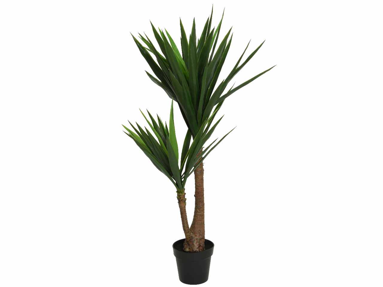 Yucca h.122cm 801224