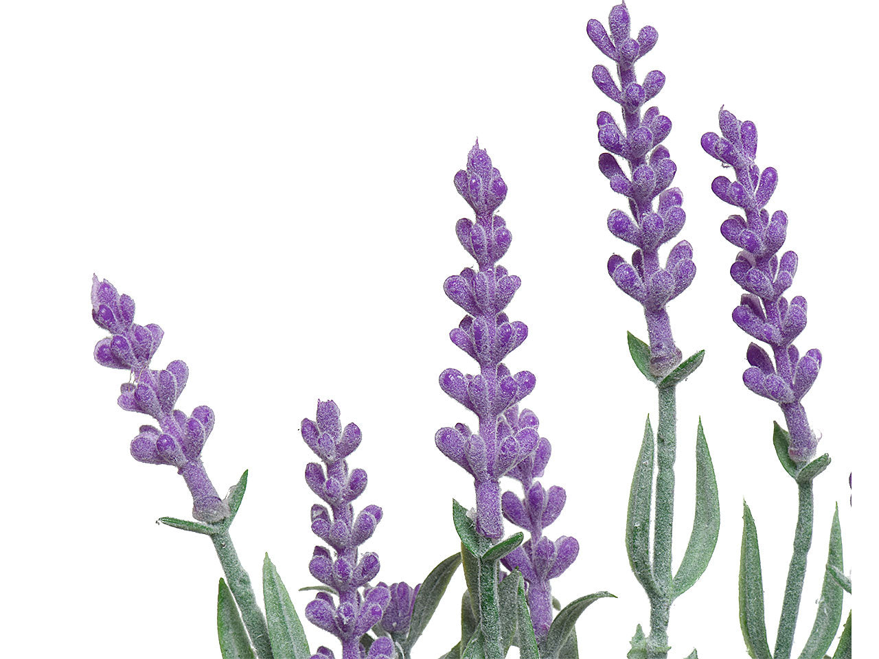 Lavanda h32cm viola con vaso 801868