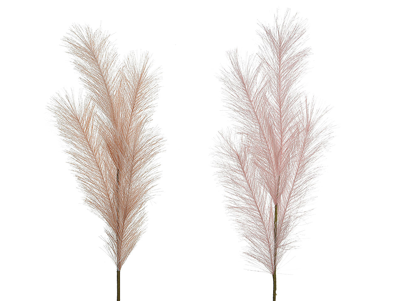 Pampas h.80cm ass.804237