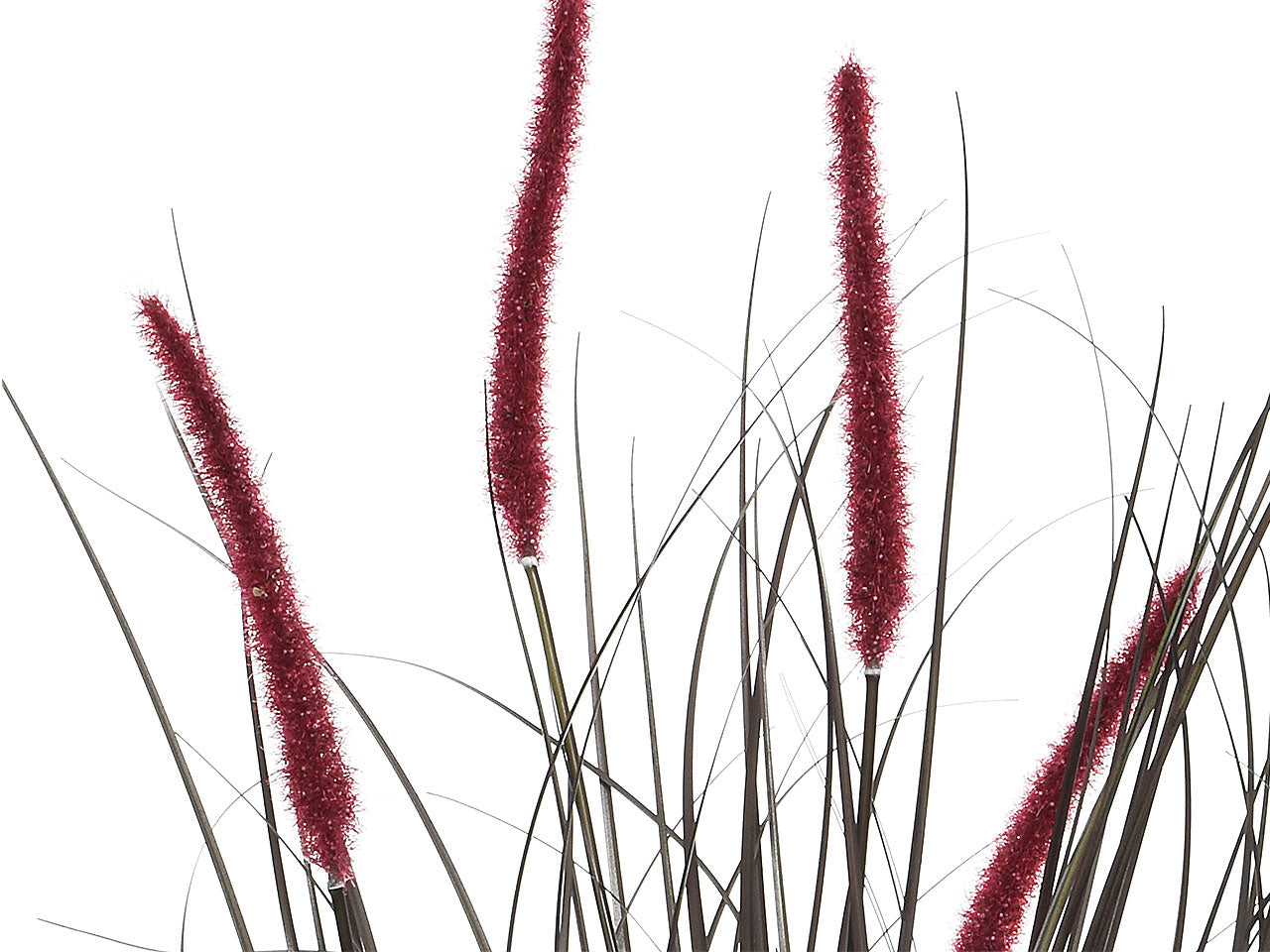 Pianta h.90cm burgundy 804034