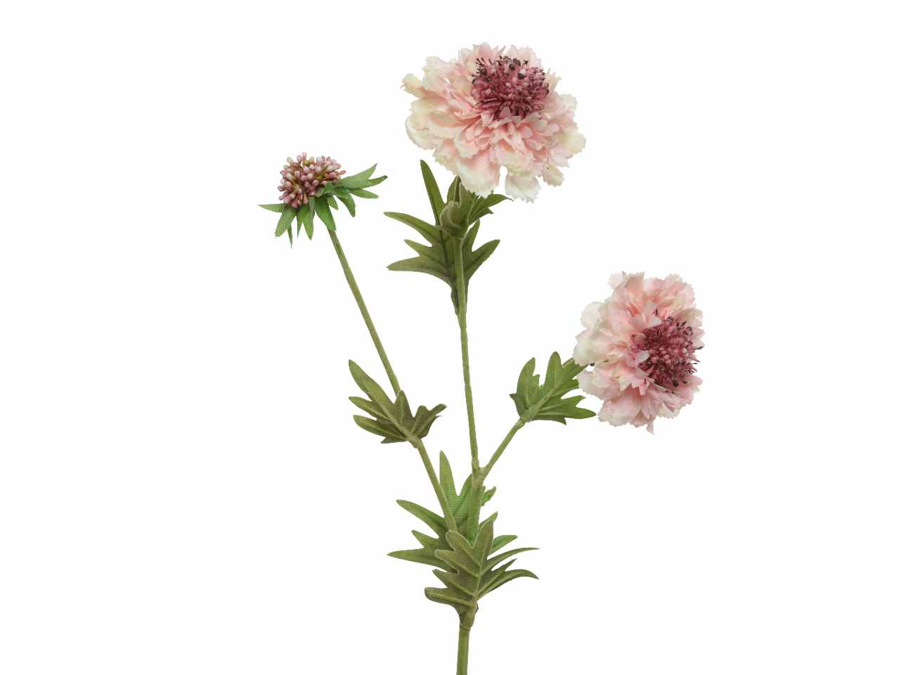 Fiore scabiosa h.72cm rosa 804065
