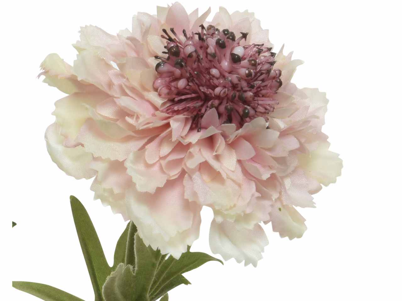 Fiore scabiosa h.72cm rosa 804065
